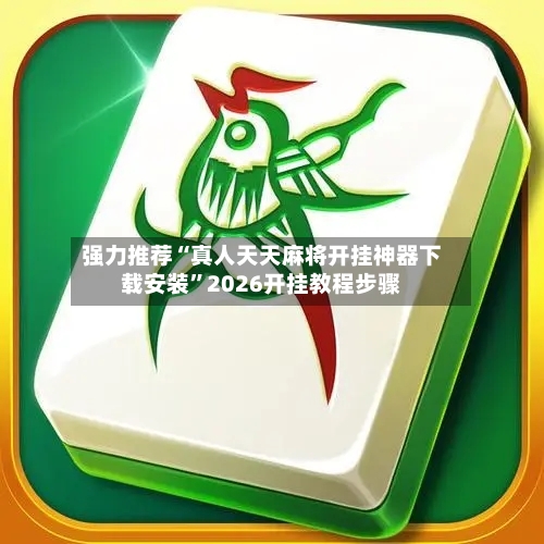 强力推荐“真人天天麻将开挂神器下载安装”2026开挂教程步骤-第2张图片