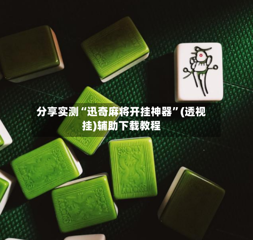 分享实测“迅奇麻将开挂神器”(透视挂)辅助下载教程-第2张图片