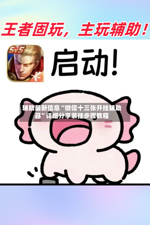 辅助最新信息“微信十三张开挂辅助器”详细分享装挂步骤教程-第2张图片