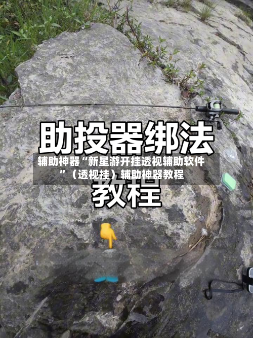 辅助神器“新星游开挂透视辅助软件”（透视挂）辅助神器教程-第2张图片