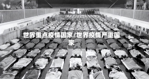 世界重点疫情国家/世界疫情严重国家