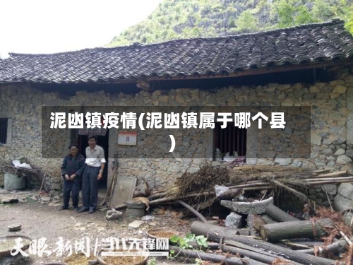 泥凼镇疫情(泥凼镇属于哪个县)-第3张图片