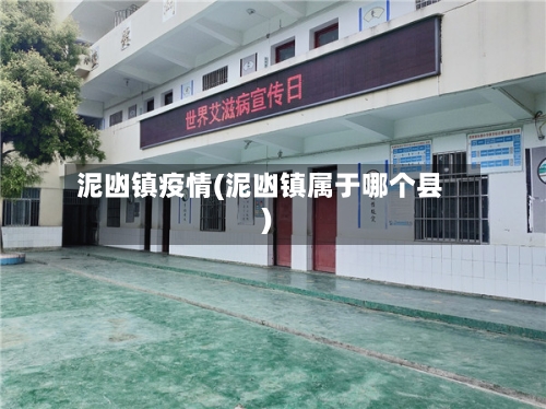 泥凼镇疫情(泥凼镇属于哪个县)-第2张图片