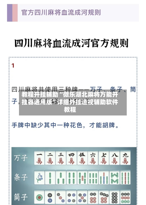 教程开挂辅助“微乐湖北麻将万能开挂器通用版”详细外挂透视辅助软件教程-第3张图片