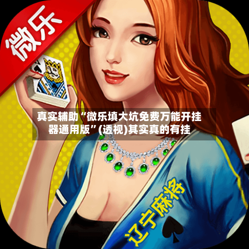 真实辅助“微乐填大坑免费万能开挂器通用版”(透视)其实真的有挂