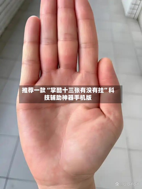 推荐一款“掌酷十三张有没有挂”科技辅助神器手机版-第2张图片