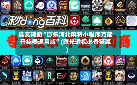 真实辅助“微乐河北麻将小程序万能开挂器通用版”(曝光透视必备猫腻)-第3张图片