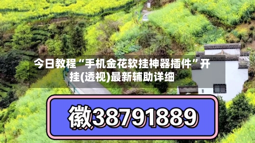 今日教程“手机金花软挂神器插件	”开挂(透视)最新辅助详细-第2张图片