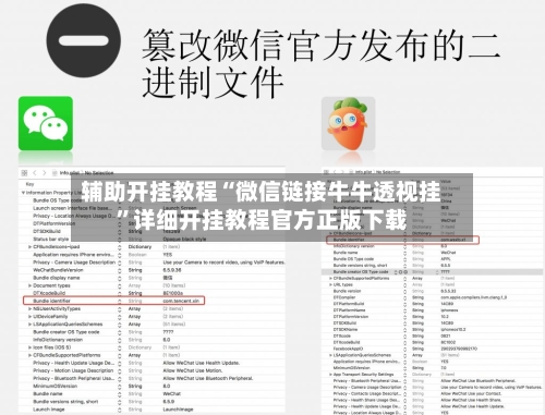 辅助开挂教程“微信链接牛牛透视挂”详细开挂教程官方正版下载-第2张图片