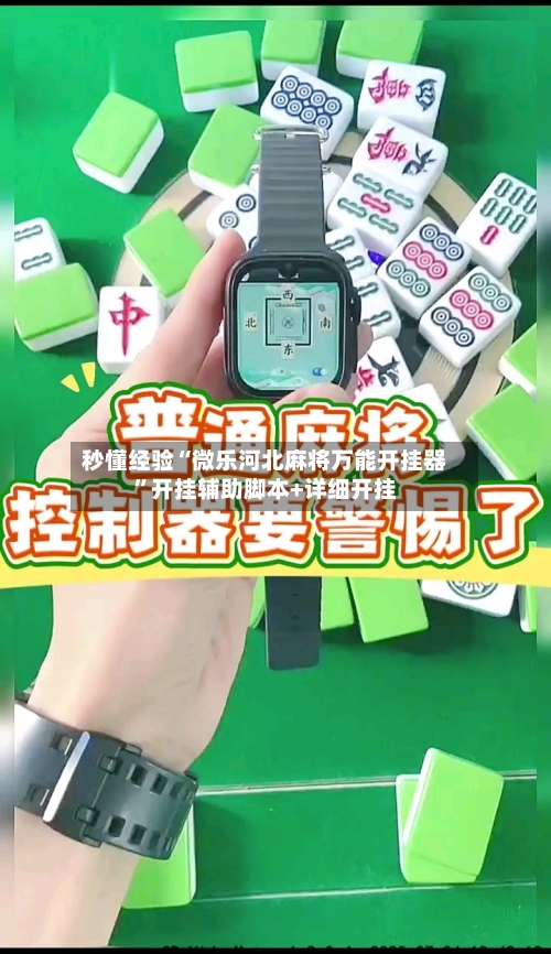 秒懂经验“微乐河北麻将万能开挂器”开挂辅助脚本+详细开挂-第2张图片