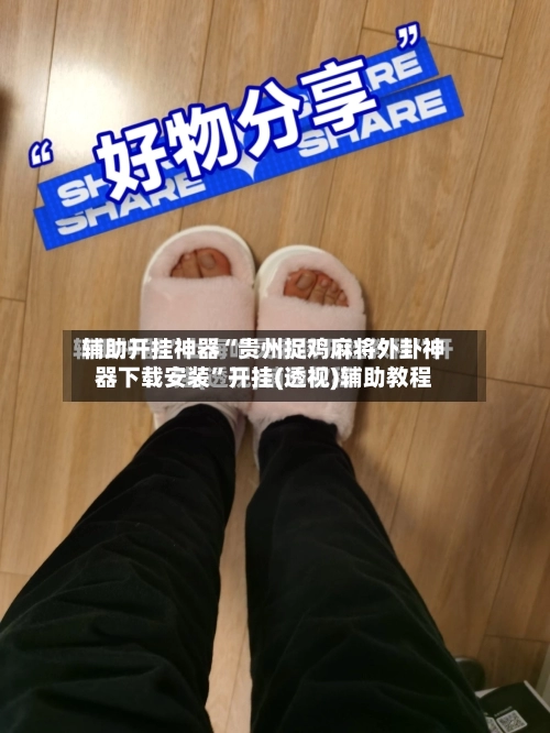 辅助开挂神器“贵州捉鸡麻将外卦神器下载安装	”开挂(透视)辅助教程-第2张图片