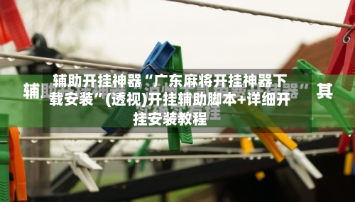 辅助开挂神器“广东麻将开挂神器下载安装”(透视)开挂辅助脚本+详细开挂安装教程-第3张图片