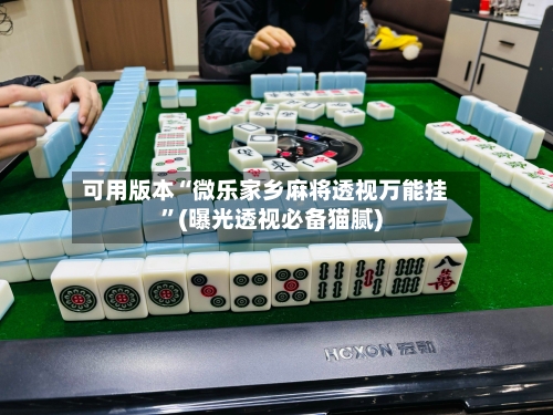 可用版本“微乐家乡麻将透视万能挂”(曝光透视必备猫腻)