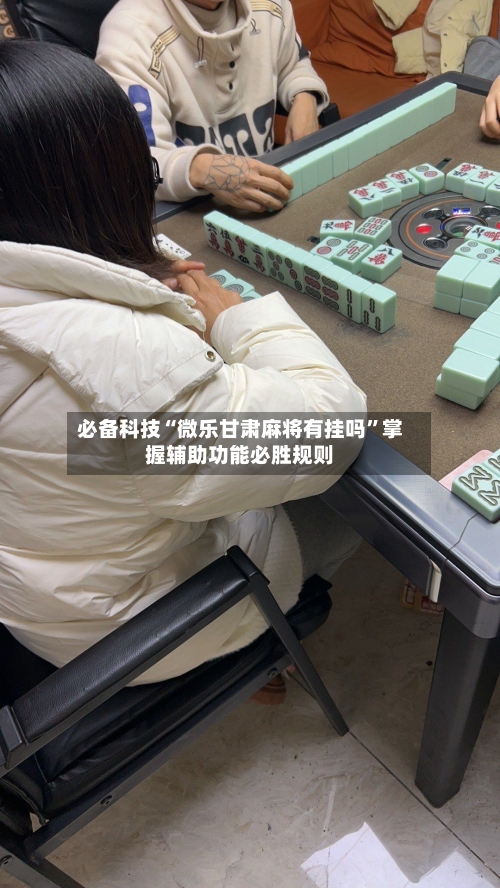 必备科技“微乐甘肃麻将有挂吗	”掌握辅助功能必胜规则-第2张图片