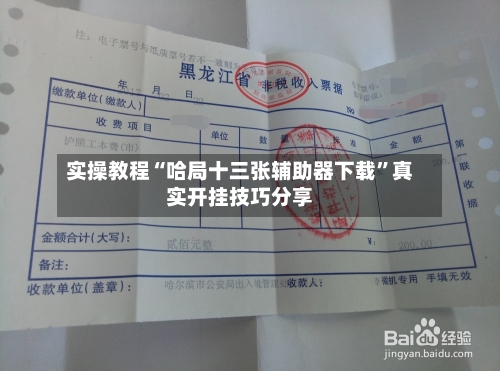 实操教程“哈局十三张辅助器下载	”真实开挂技巧分享-第2张图片