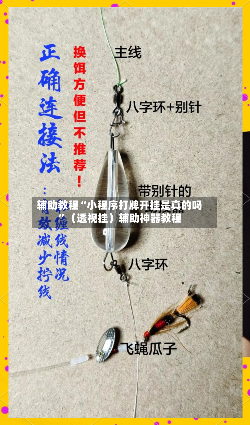 辅助教程“小程序打牌开挂是真的吗”（透视挂）辅助神器教程-第2张图片